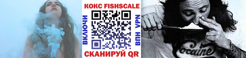 КОКАИН Fish Scale  Купить закладки  Катайск 