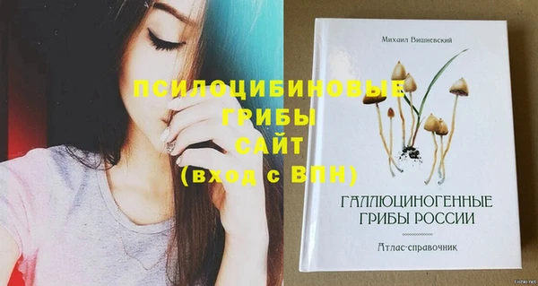 скорость Горняк