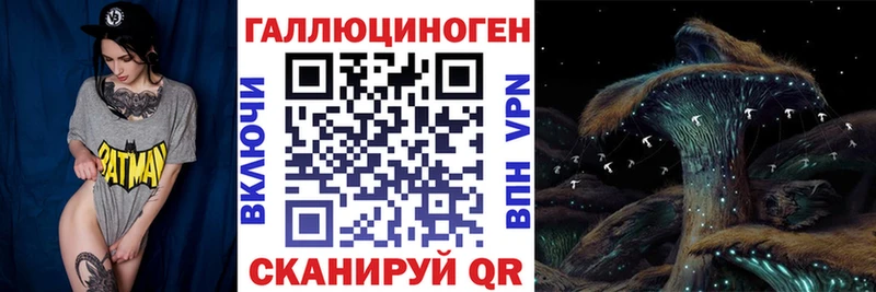 Галлюциногенные грибы ЛСД  Купить где  Катайск 